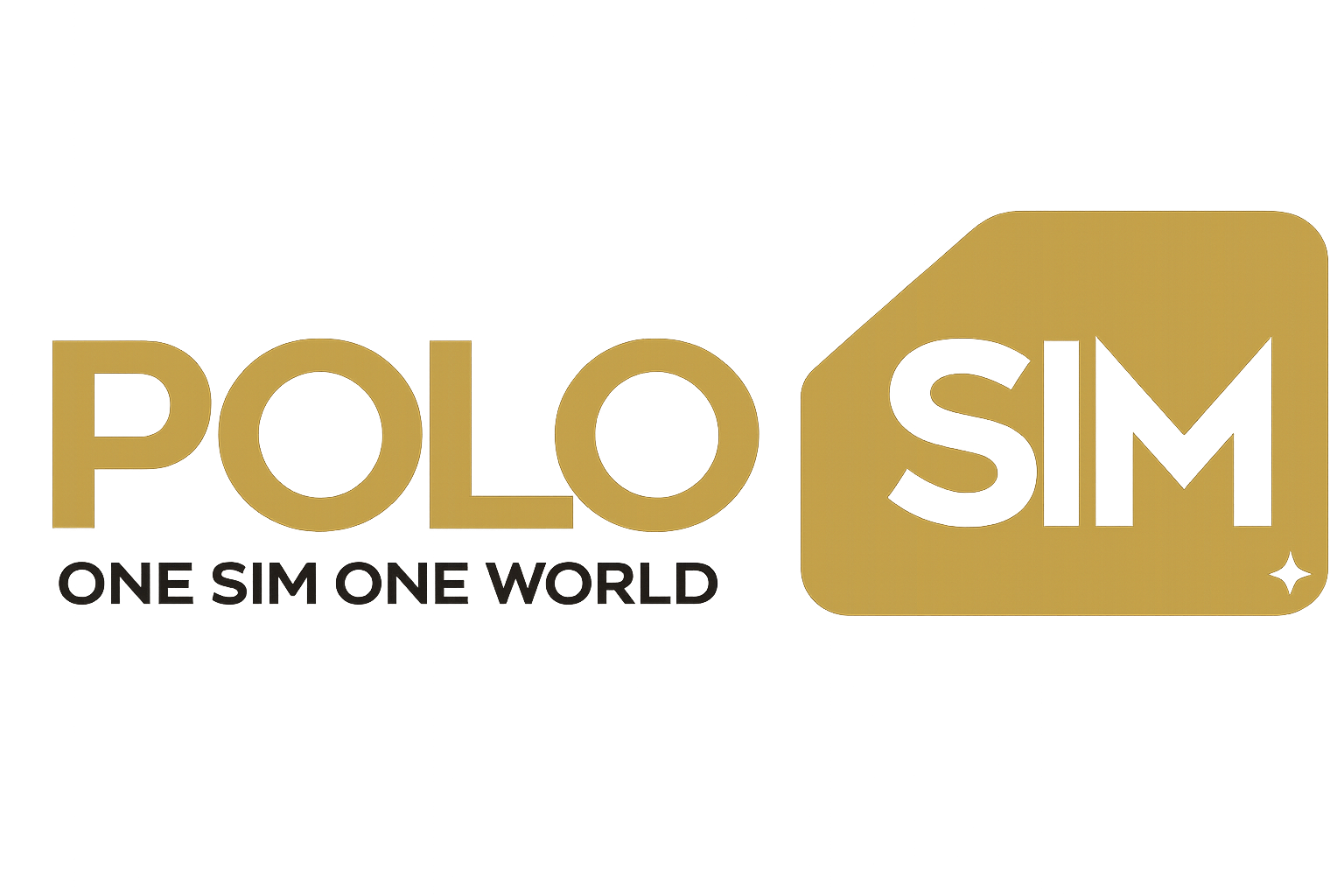 PoloSim